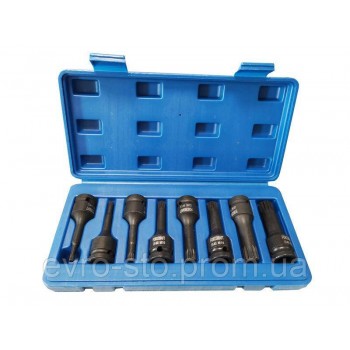 Набор головок-бит SPLINE ударных 8 предметов,1/2