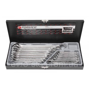 Набор ключей комбинированных 16пр. (6-19, 17,22, 24мм) в металлическом кейсе Forsage F-5161