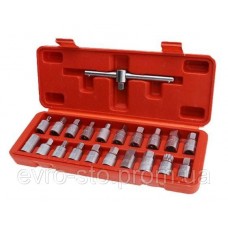 Набір головок для зливу масла 21 шт., 3/8. VT13949